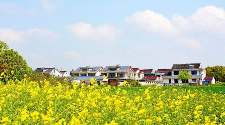河南焦作市發文推進農村人居環境整治、農村污水治理、黑臭水體治理